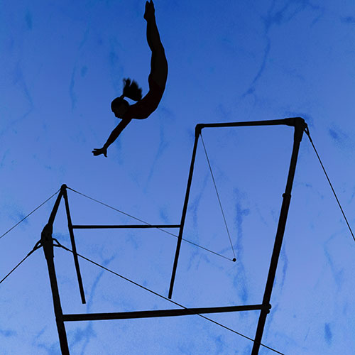 Never Let the Fear of Falling Keep You from Flying