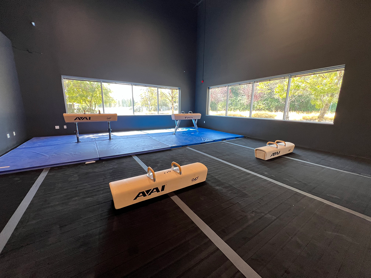 Pacific-Reign_install-progress_pommel-horse-area